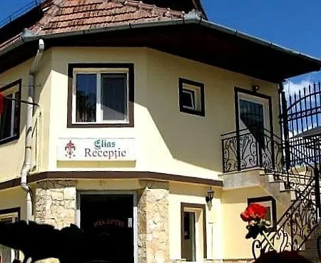 Pensiunea Elias-2