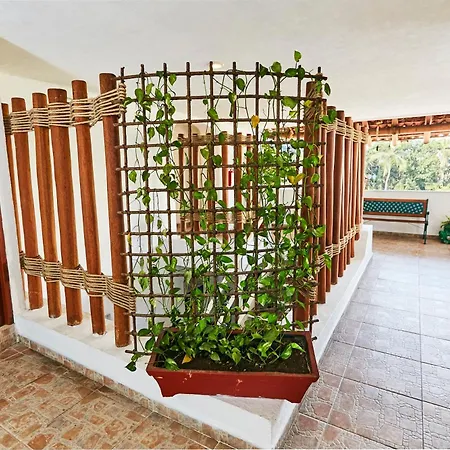 Hotel Suites Ixtapa Plaza-2