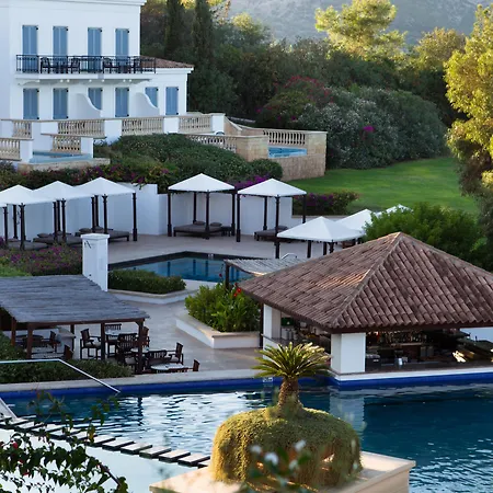 Anassa-2