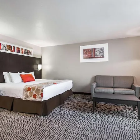 Hawthorn Suites Las Vegas-3