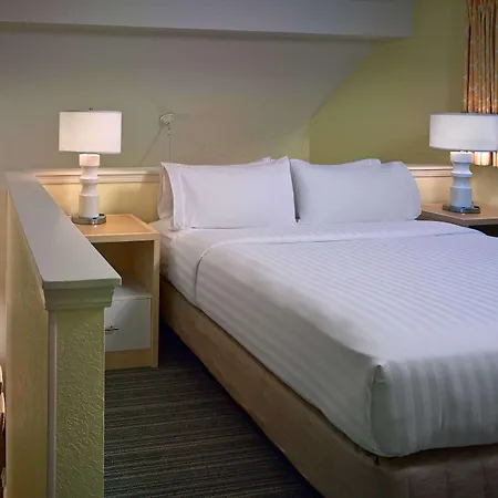 Sonesta Simply Suites Memphis East Poplar Pike-3