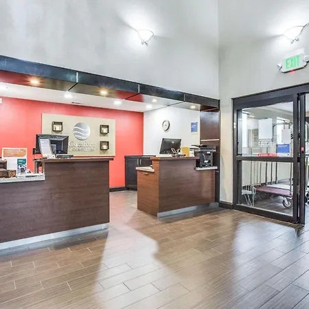 Comfort Inn & Suites Love Field-Dallas Market Center-3
