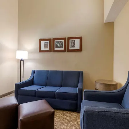 Comfort Suites Dfw Airport-2