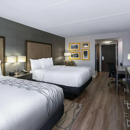 La Quinta By Wyndham Raleigh Downtown North-3