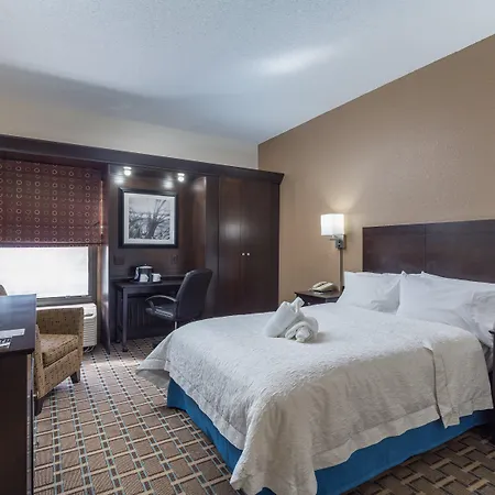 Hilton Tampa Airport Westshore-2