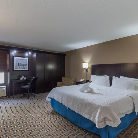 Hilton Tampa Airport Westshore-3
