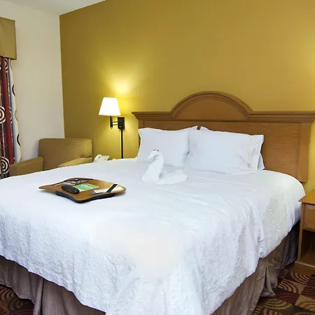 Hampton Inn & Suites Orlando International Drive North-3