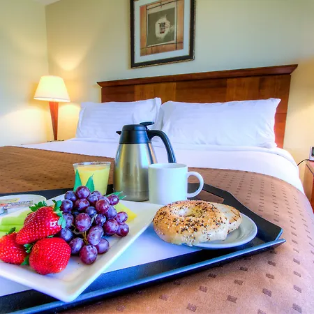 Holiday Inn Tampa Westshore - Airport Area By Ihg-3