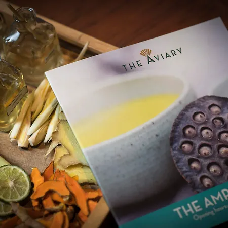 The Aviary Hotel-3