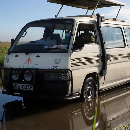 Ole Sereni-2