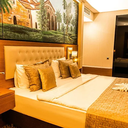 Aselia Hotel Trabzon-2