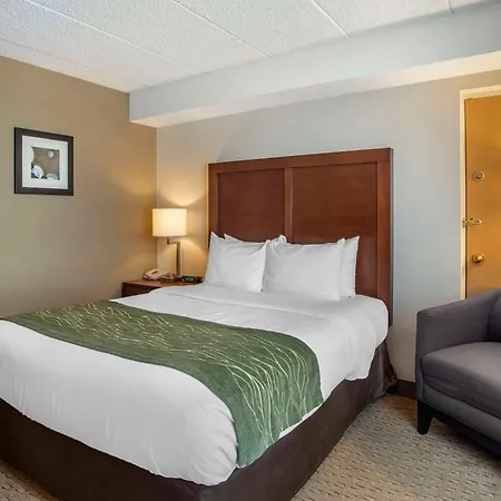 Comfort Inn Shady Grove - Gaithersburg - Rockville-3