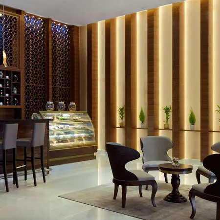 Radisson Blu Hotel, Dubai Waterfront-2