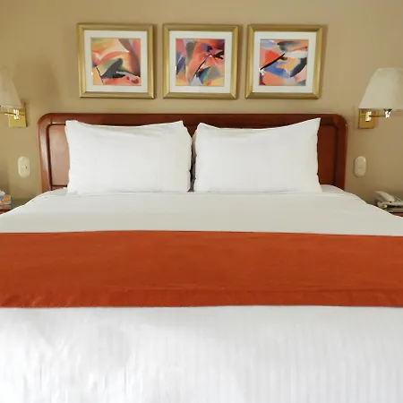 Hotel San Carlos-3