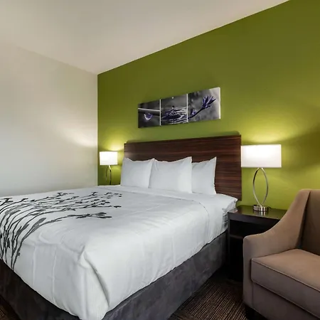 Sleep Inn & Suites Tampa South-2