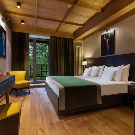 Ana Hotels Bradul Poiana Brasov-2