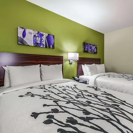 Sleep Inn & Suites Fort Worth - Fossil Creek-3