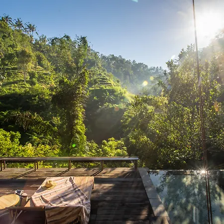 Buahan, A Banyan Tree Escape-3
