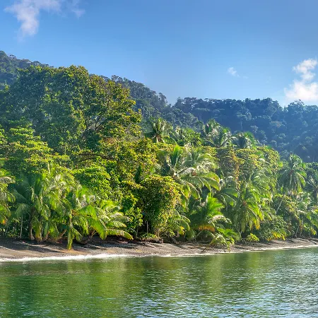 Playa Nicuesa Rainforest Eco Sanctuary-2
