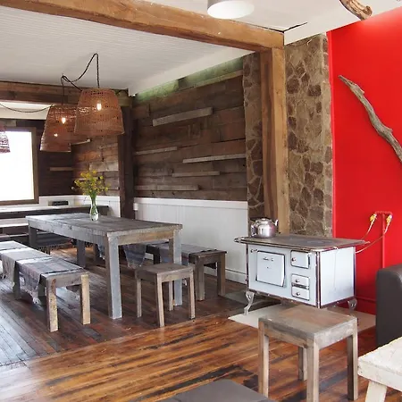 Wild Hostel-2