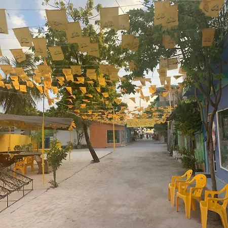 La Isla Tropica-2