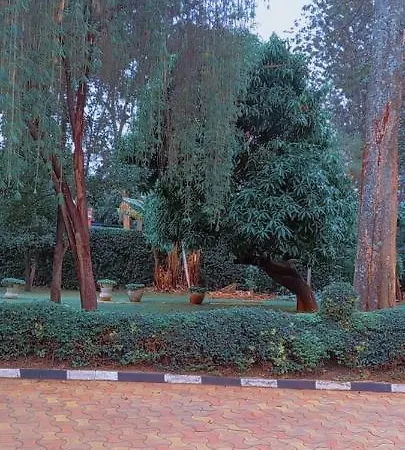 Kathy'S Place In Runda-2