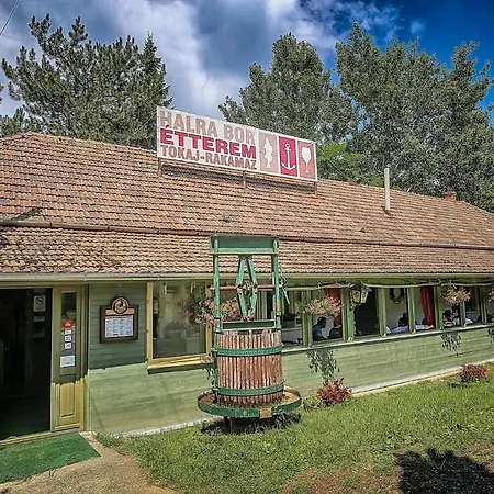 Hotel Csillag Tokaj-3
