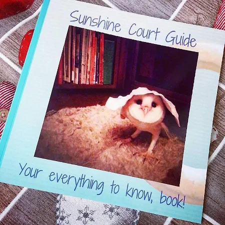 Sunshine Court-3
