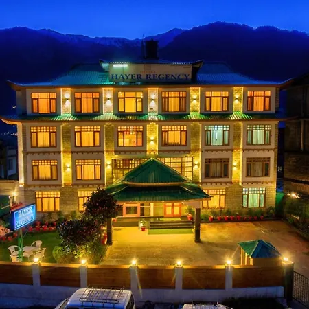 Hotel Hayer Regency-3