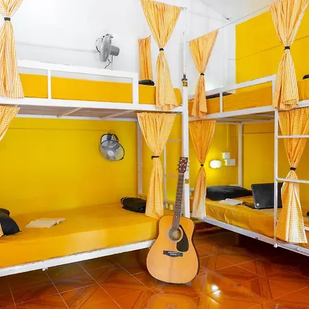 Whoopers Hostel Palolem- Money Heist Themed-2