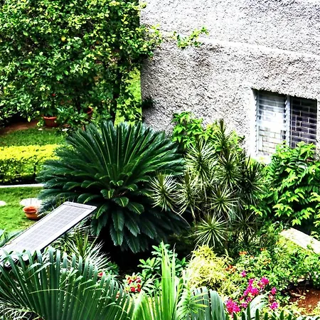 Crystoural Apartment Liguanea Sovereign Apt - 2 Bedrooms, 3 Beds, Host 4 Guest- Kingston!-2