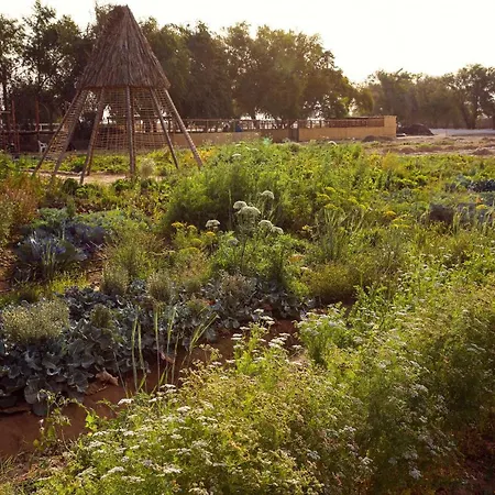 Heenat Salma Farm-2