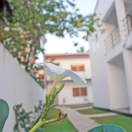 The Anchorage Holiday Apartments - Negombo-3