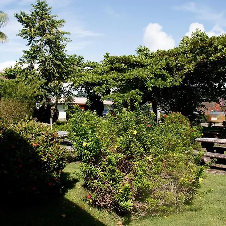Hotel Samoa Del Sur-3