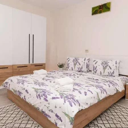 Casa Cu Lavanda-3