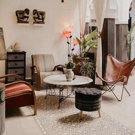 Riad Alnadine-2