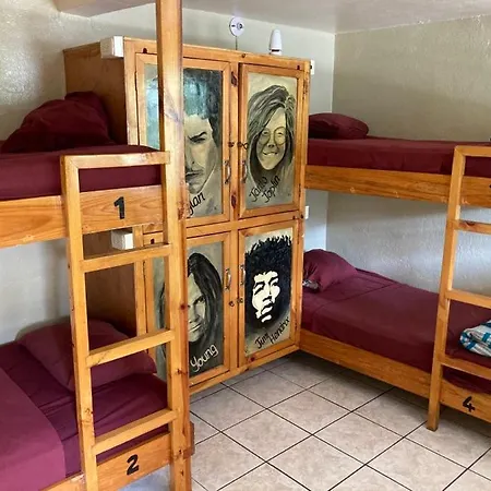 Mr. Mullets Hostel-3