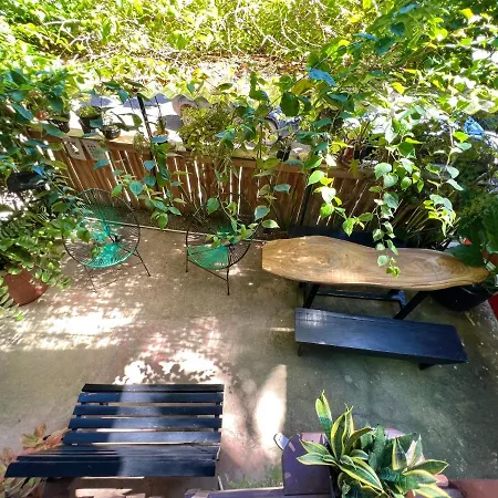 Pura Vida Hostel-3