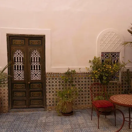 Riad Ifoulki-2