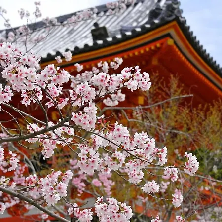 Stay Sakura Kyoto Fuga-3