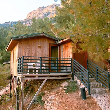 Tree Houses Hotel-3