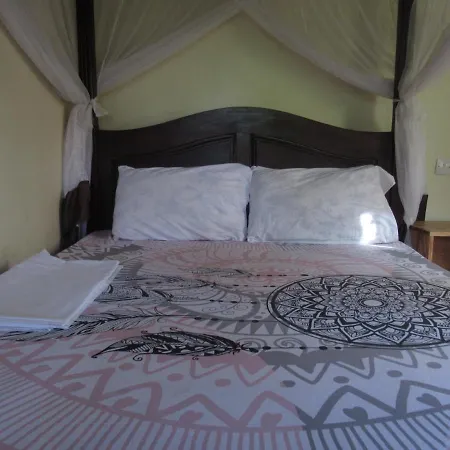 Darema Homestay-3