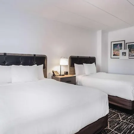 La Quinta By Wyndham Chicago O'Hare Airport-2