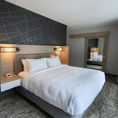 Springhill Suites By Marriott Colorado Springs Downtown-2