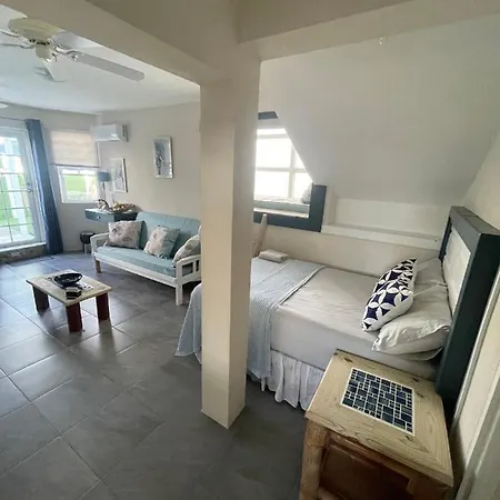 Scarlett Studios 2-Us Embassy & America Uni 7 Mins Drive- Lloyd Erskine Centre & Ross Uni 5 Mins Drive - Holidays-The 1 Night Resv Inc Airport & Embassy Round Trip 2Nd Option Inc Breakfast-Choose Option 2 Min 3 Nights For Car With Accom-3