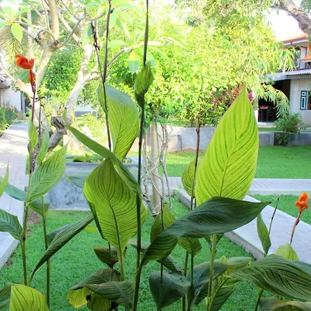 Morning Star Resorts-2