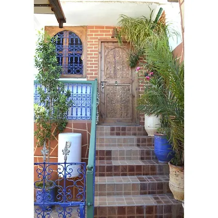 Riad Wink-3