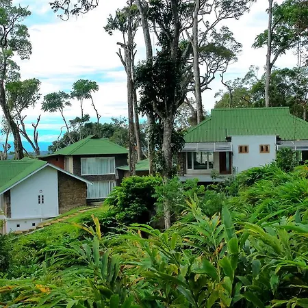 Neelakurunji Plantation Munnar-3