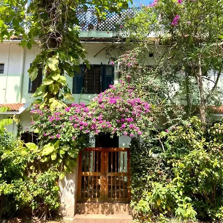 Villa Jacaranda-2