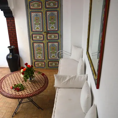 Riad Wink-2